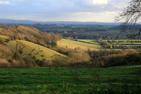 Looking_down_on_Holybourne_from_Holybourne_Down_-_geograph.org_.uk_-_627368